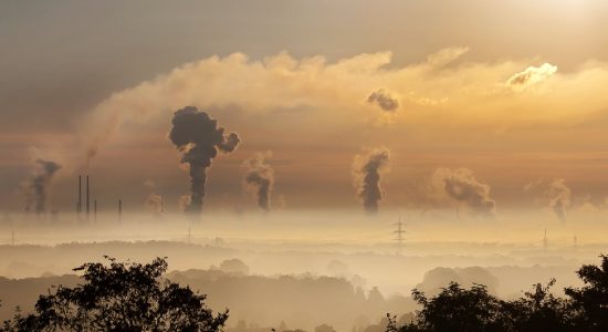 german carbon regulation